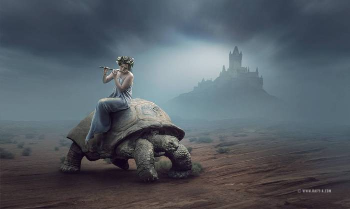 Jobs for Indian Teenagers: Turtle Photo-manipulation